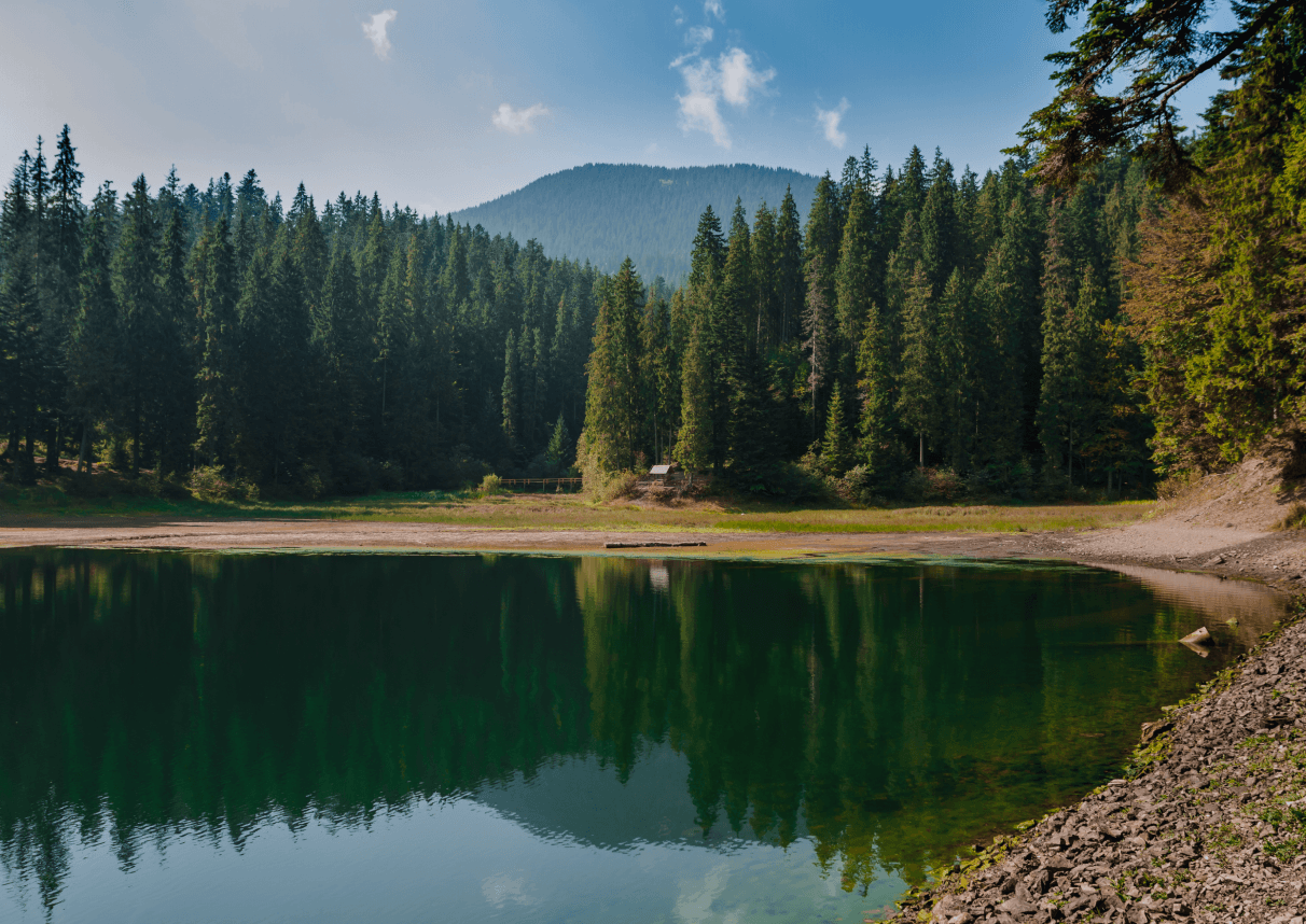 lake in high carpathian mountains